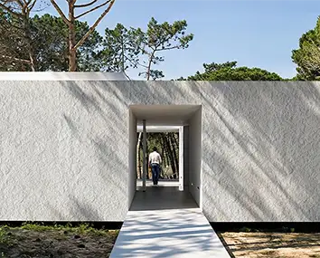 exterior renovation for flexible stone